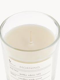 Bougie parfumée Morning (cassis, pamplemousse), Cire naturelle de soja, verre, Cassis et pamplemousse, Ø 8 x haut. 8 cm