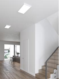 Dimmbares LED-Panel Harlow, Lampenschirm: Kunststoff, Weiss, B 60 x H 2 cm