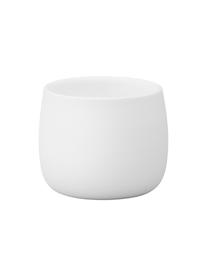 Tazas originales térmicas de café Foster, 2 uds., Porcelana, Exterior: blanco mate Interior: blanco brillante, 40 ml