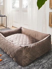 Samt-Hundebett Oxford, verschiedene Grössen, Bezug: Samt (100 % Polyester), Taupe, Hellgrau, B 68 x T 55 cm