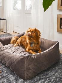 Samt-Hundebett Oxford, verschiedene Grössen, Bezug: Samt (100 % Polyester), Taupe, Hellgrau, B 68 x T 55 cm