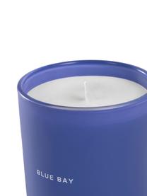 Bougie parfumée bleu Bay (lilas, vanille), Bleu foncé, blanc