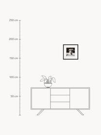 Ingelijste digitale print Elephant, Lijst: kunststofframe met glas, Zwart, wit, B 40 x H 40 cm