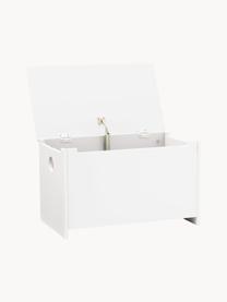 Boîte de rangement Star, MDF

Ce produit est fabriqué à partir de bois certifié FSC® issu d'une exploitation durable, Blanc, larg. 50 x haut. 29 cm