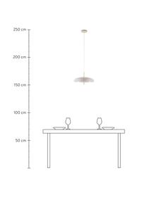 Pendelleuchte Mathea in Taupe, Lampenschirm: Metall, pulverbeschichtet, Dekor: Metall, vermessingt, Baldachin: Metall, pulverbeschichtet, Taupe, Ø 38 x H 8 cm