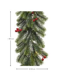 Guirnalda LED Eva, 180 cm, Plástico, Verde, Ø 30 x L 180 cm