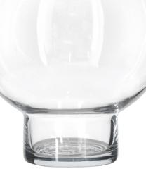 Jarrón de vidrio Kalt, Vidrio, Transparente, Ø 21 x H 23 cm