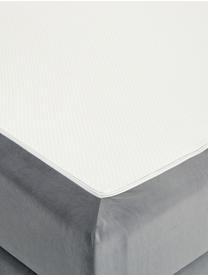 Premium Samt-Boxspringbett Lacey, Matratze: 7-Zonen-Taschenfederkern , Füße: Massives Buchenholz, lack, Dunkelgrau, 140 x 200 cm