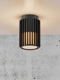Outdoor wandlamp Aludra, Lampenkap: kunststof, Zwart, Ø 12 x H 19 cm