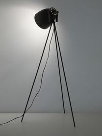 Petit lampadaire trépied industriel Studio, Noir, mat, larg. 58 x haut. 130 cm