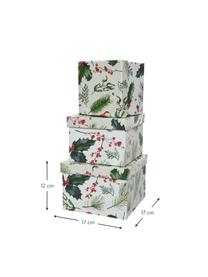 Set de cajas regalo Mistletoe, 3 uds., Papel, Blanco, verde, rojo, Set de diferentes tamaños