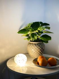 Kleine tafellamp Globus, verschillende formaten, Lampenkap: glas, Wit, gespikkeld, Ø 13 x H 10 cm