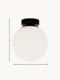 Plafón pequeño de vidrio opalino Lido, Pantalla: vidrio opalino, Negro, blanco, Ø 20 x Al 23 cm