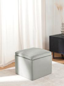 Pouf avec rangement velours gris clair Winou, Velours gris, larg. 50 x haut. 48 cm