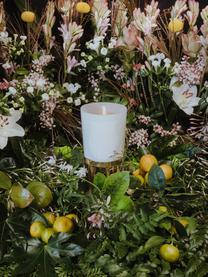 Handgefertigte Duftkerze Positano (Orangenblüte, Jasmin, Magnolie), Behälter: Glas, Orangenblüte, Jasmin, Magnolie, Ø 9 x H 11 cm