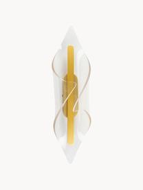 Aplique LED Velo, Pantalla: vidrio acrílico, Estructura: metal con pintura en polv, Transparente, dorado, An 12 x Al 44 cm