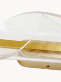 Nástěnné LED svítidlo Velo, Transparentní, zlatá, Š 12 cm, V 44 cm