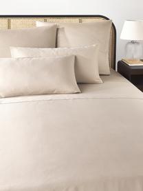 Drap plat en satin de coton Comfort, Beige clair, larg. 240 x long. 280 cm