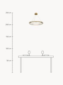 Velké závěsné LED svítidlo Krone, Transparentní, zlatá, Š 62 cm, V 8 cm