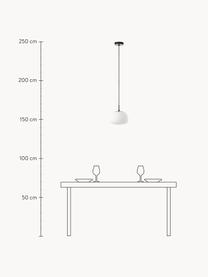 Lámpara de techo Burke, Pantalla: vidrio, Anclaje: metal recubierto, Cable: plástico, Blanco, Ø 25 x Al 17 cm