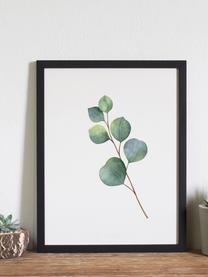 Ingelijste digitale print Eucalyptus II, Afbeelding: digitale print op papier,, Lijst: gelakt hout, Groen, wit, zwart, B 33 x H 43 cm