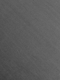 Samt-Armlehnstuhl Rachel, Bezug: Samt (100 % Polyester) De, Beine: Metall, pulverbeschichtet, Samt Hellgrau, B 55 x T 65 cm