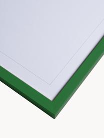 Cornice fatta a mano Explore, varie misure, Legno, acrilico, metallo, cartone, Verde scuro, Larg. 2 x Alt. 100 cm