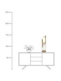 Tischlampe Сipresso in Gold, Lampenschirm: Glas, Goldfarben, Weiss, Ø 20 x H 75 cm