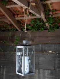 Lanterne grise Lion, Verre, acier, enduit, Gris, larg. 19 x haut. 37 cm