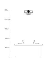 Plafondlamp Cube in zwart, Baldakijn: gelakt messing, Zwart, 46 x 27 cm