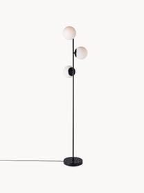 Vloerlamp Lilly van opaalglas, Lampvoet: gecoat metaal, Zwart, wit, H 150 cm