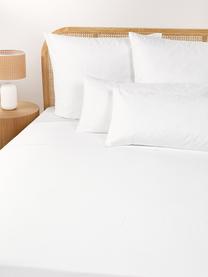 Drap plat en percale de coton Elsie, Blanc, larg. 240 x long. 280 cm