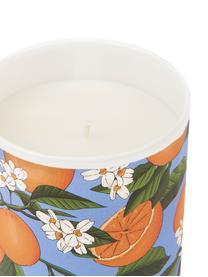 Vela perfumada Orange Blossom (azahar), Recipiente: vidrio, Naranja, Ø 8 x Al 10 cm