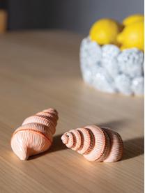 Handbemalte Salz- & Pfefferstreuer Shell aus Dolomit, 2er-Set, Dolomit, glasiert, Orange, Peach, B 10 x H 4 cm