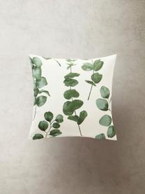 Housse de coussin 45x45 en coton Eucalyptus, 100 % coton, Couleur crème, vert, larg. 45 x long. 45 cm