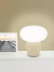 Lampada da tavolo piccola Cahuama, Paralume: vetro satinato, Base della lampada: ceramica, Beige, bianco, Ø 28 x Alt. 30 cm
