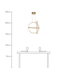 LED hanglamp Arte in messing, Diffuser: acrylglas, Baldakijn: gecoat aluminium, Messingkleurig, 52 x 61 cm