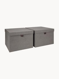 Set de cajas Tristan, 2 pzas., Caja: cartón laminado rígido, Gris, Set de diferentes tamaños