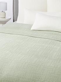 Baumwoll-Tagesdecke Lazlo, 100 % Baumwolle

Das in diesem Produkt verwendete Material ist schadstoffgeprüft und zertifiziert nach STANDARD 100 by OEKO-TEX®, 5763CIT, CITEVE., Salbeigrün, B 230 x L 250 cm (für Betten bis 180 x 200 cm)