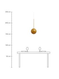 Kleine Kugel-Pendelleuchte Seth, Lampenschirm: Glas, Baldachin: Metall, beschichtet, Gelb, Goldfarben, Ø 25 x H 68 cm