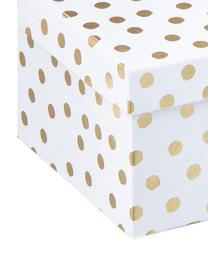 Set de cajas de regalo Kontrast, 4 pzas., Papel, Blanco, dorado, Set de diferentes tamaños