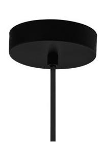 Závěsná lampa z krouceného kovu Staverton, Černá