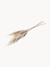Ručně vyrobená kytice Pampas, Umělá hmota, Krémově bílá, D 92 cm