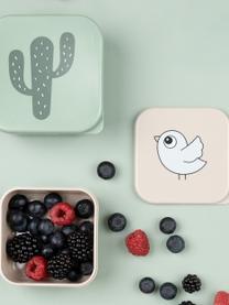 Kinder-Lunchboxen Lalee, 3er-Set, Kunststoff, Hellbeige, Beige, Salbeigrün, Set mit verschiedenen Grössen