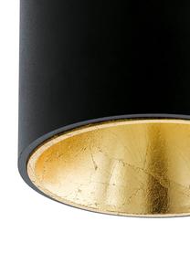 LED plafondspot Marty, Zwart, goudkleurig, Ø 10 x H 12 cm