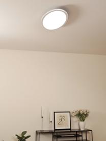 Ovaal dimbaar LED paneel Pesaro met afstandsbediening, Diffuser: kunststof, Wit, 80 x 6 cm