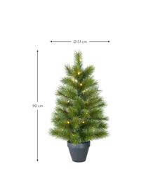 Weihnachtsbaum Glendon mit LED-Leuchten, Grün, Ø 51 x H 90 cm