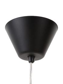 Lámpara de techo pequeña Gatsby, Cable: plástico, Negro, Ø 18 x Al 22 cm