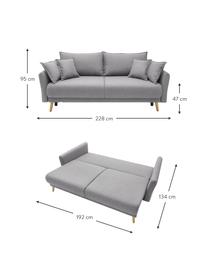 Divano letto 3 posti in tessuto grigio chiaro con contenitore Mia, Rivestimento: cachemire, Sottostruttura: legno, molle a zig zag, Piedini: legno di faggio, Tessuto grigio chiaro, Larg. 228 x Prof. 102 cm