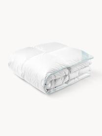 Zuiver donzen cassette-dekbed Premium, extra warm, Extra warm, B 200 x L 200 cm